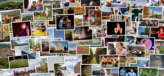 Galerija - osijek-cro.com Galerija - osijek-cro.com