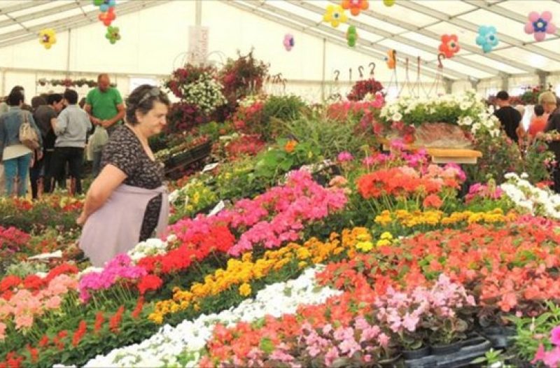 Osijek - osijek-cro.com - Na 6. Florafestu u brodskoj Tvrđavi osamdeset izlagača